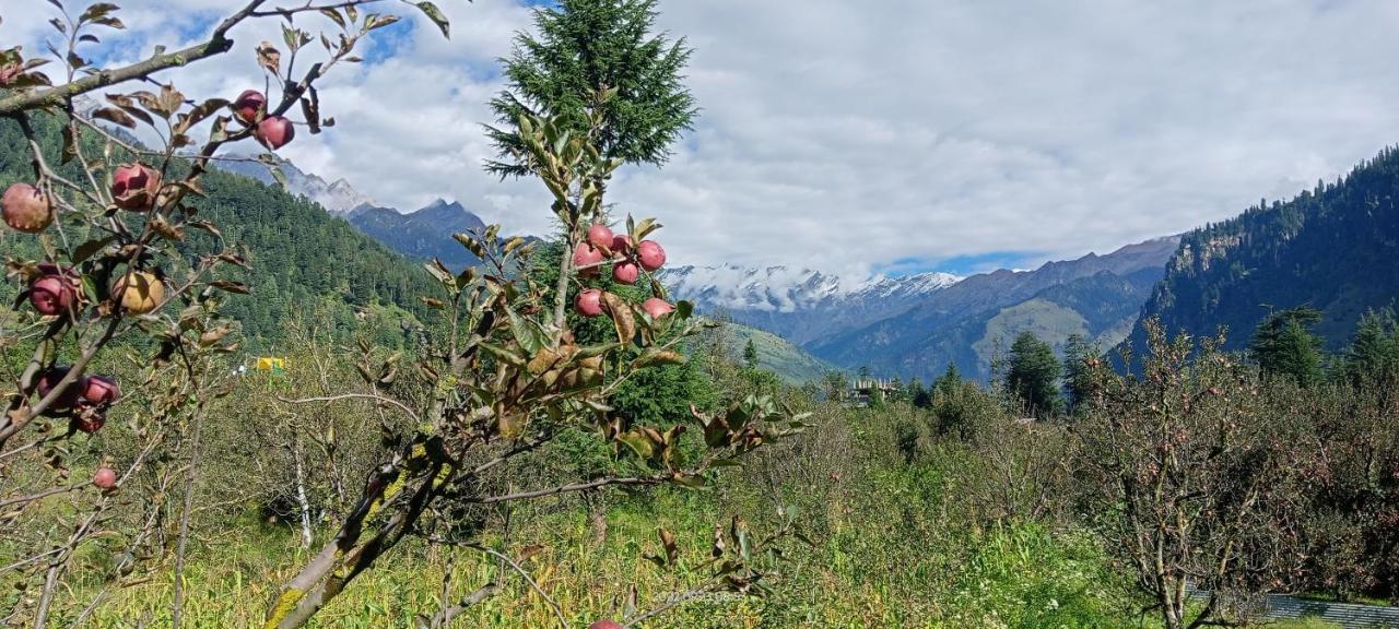 Apple Flower With Balcony And Mountain View Манали Экстерьер фото